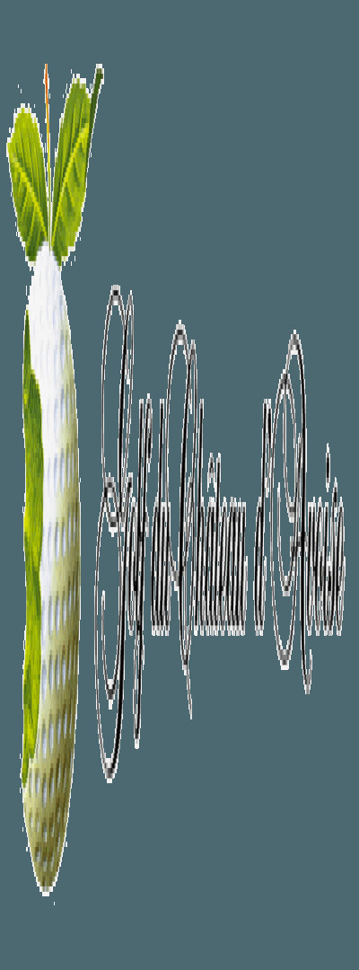 Logo Sortie au Golf de Montchanin, GF 56 euros